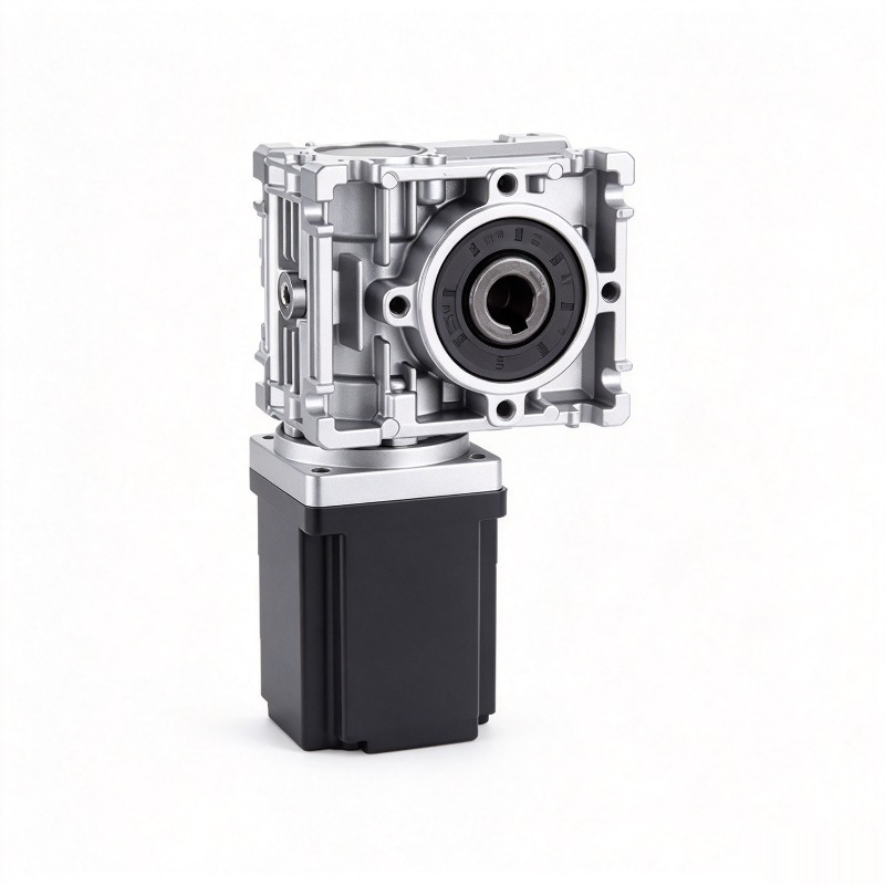 80mm BLDC Wormwielmotor 12V 24 - Bldc Planetary Gear Motor 48V High Torque recensie en prijs