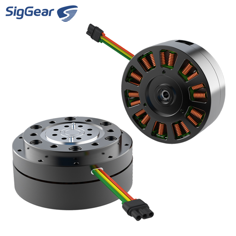 Heetverkopende Micro 36v DC BL - Cycloidal Reducer Bldc Motor recensie en prijs